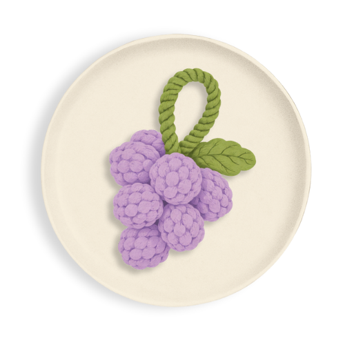 Berry Sturdy, premium food-themed dog toy by Chompurr